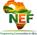 nef logo 400x120