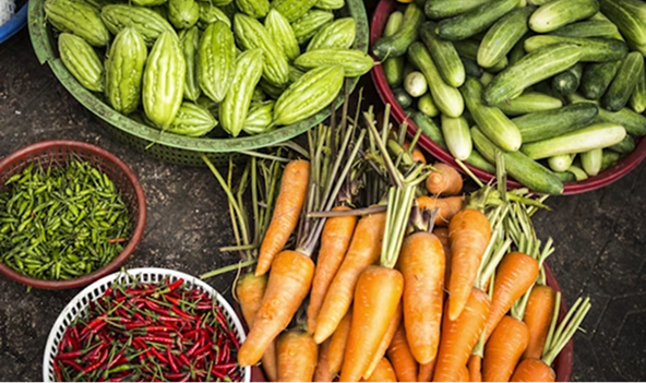 Fresh vegetables including carrots, cucumbers, and peppers