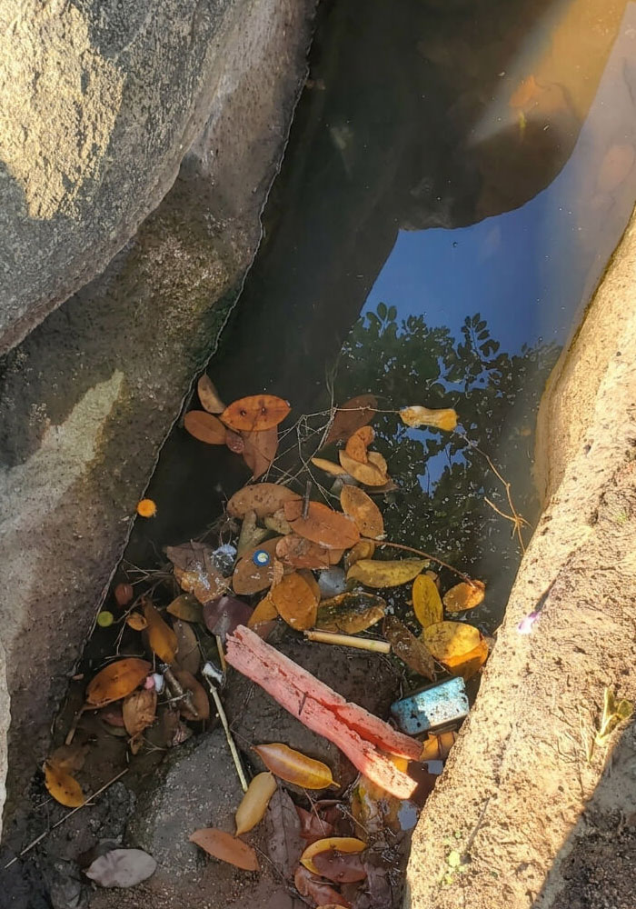 Dirty water channel with leaves and debris